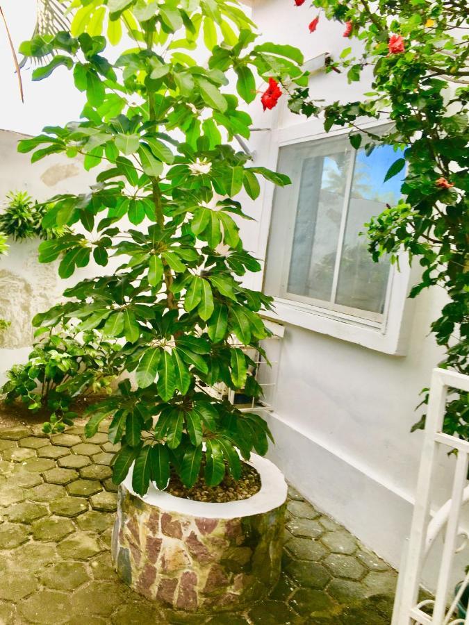 Residence Archange Pointe Noire Bagian luar foto
